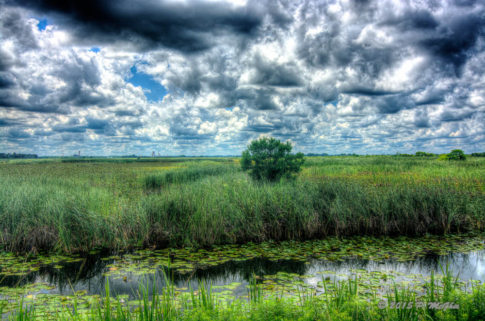D71_4735_6_7_8_9_tonemapped.jpg