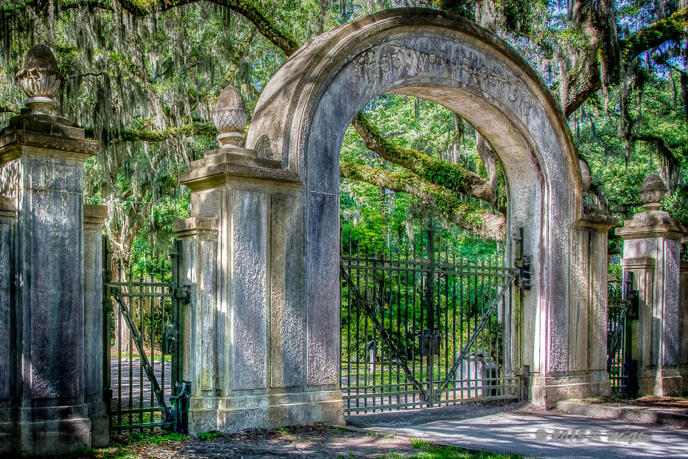 D71_5090_tonemapped.jpg