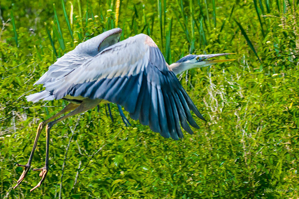 D71_6327-Edit.jpg