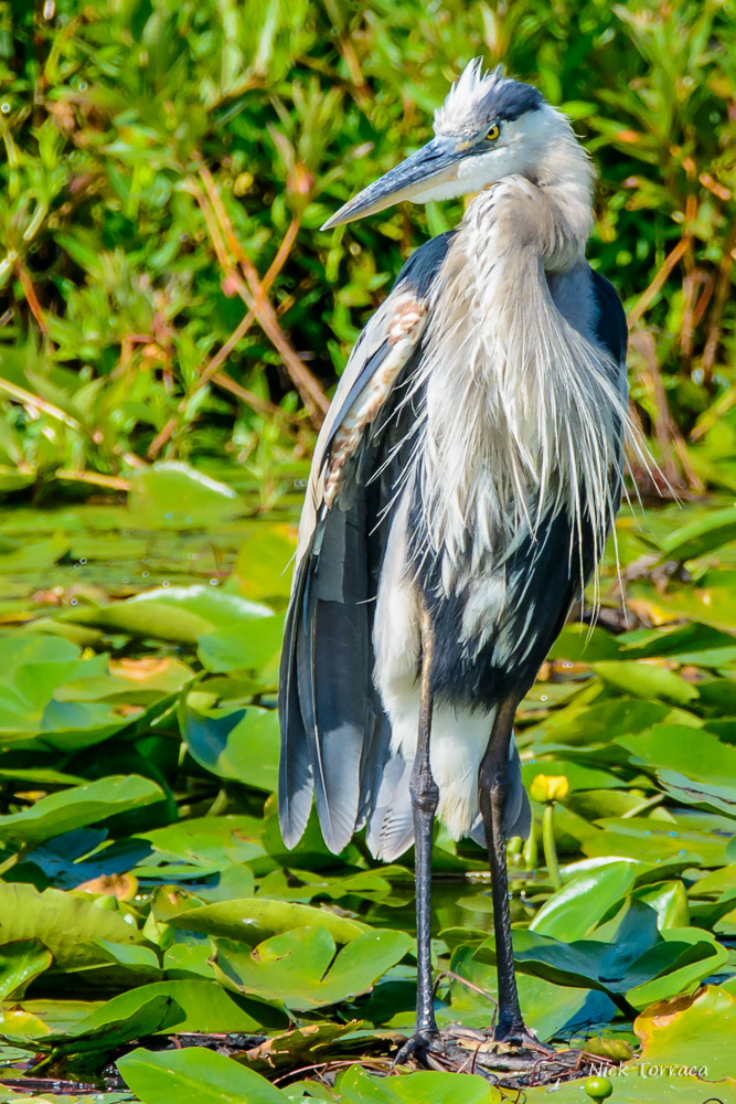 D71_6501.jpg