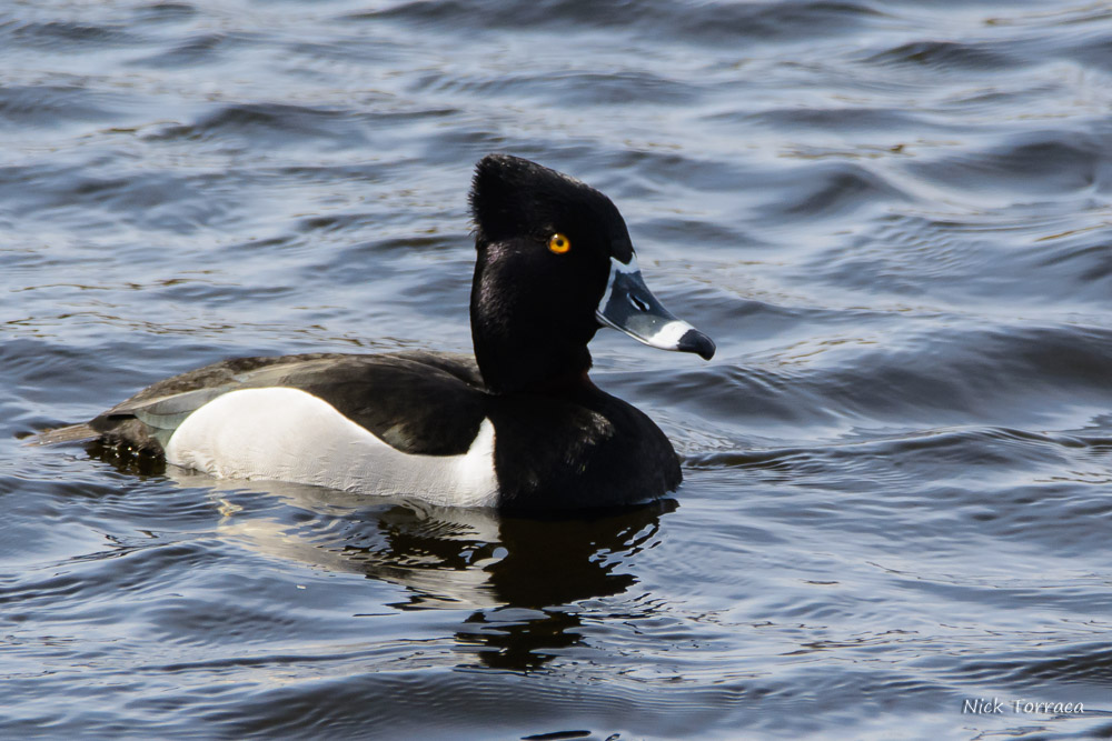 D71_7392-2.jpg