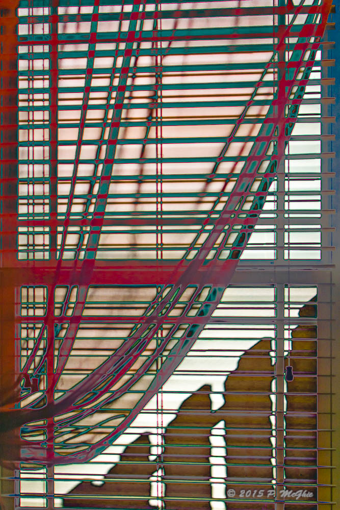 D71_7487.jpg