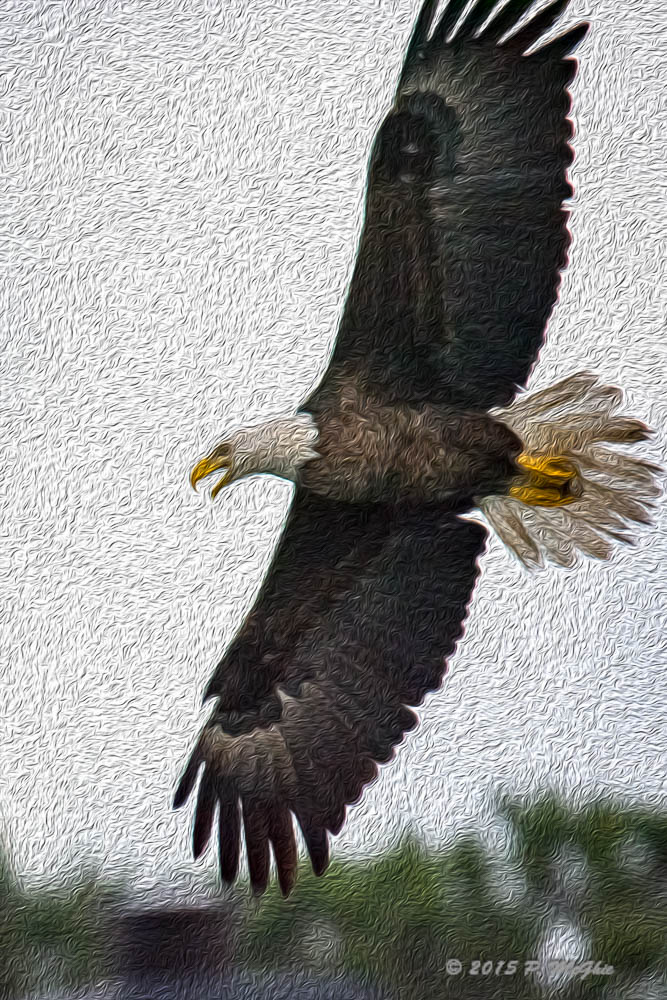 D71_7964-Edit.jpg