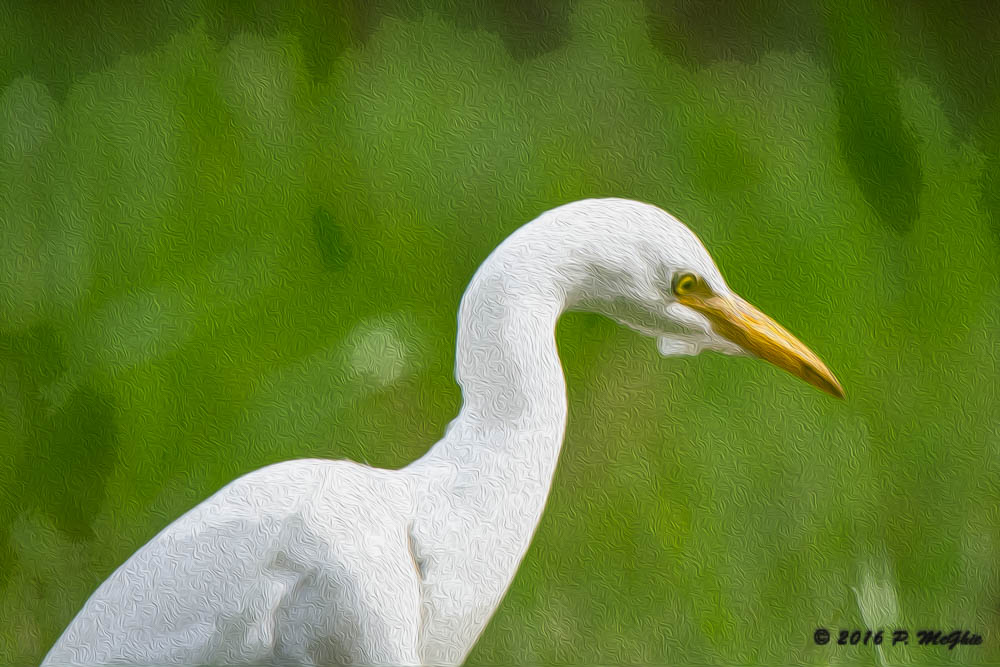 D71_8094-Edit.jpg