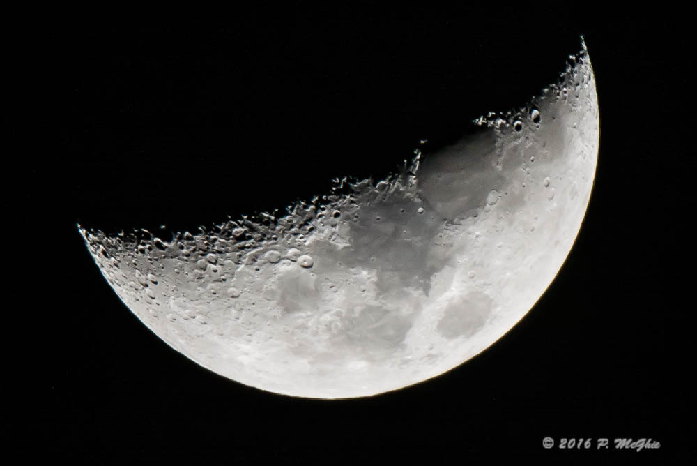 D71_8406.jpg