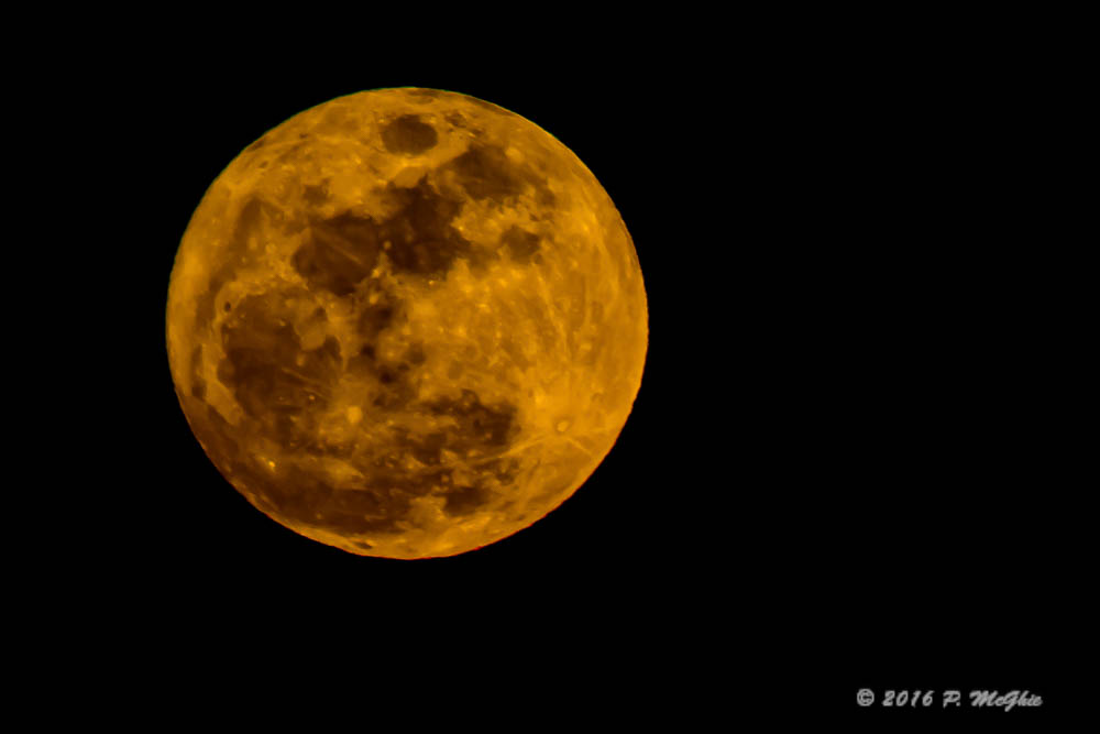 D71_8421-Edit.jpg