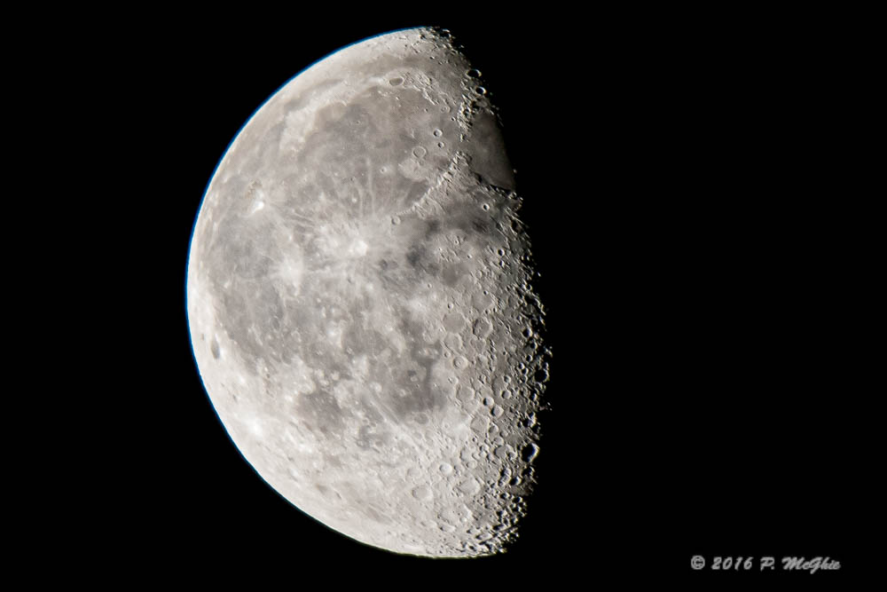 D71_8486-Edit.jpg