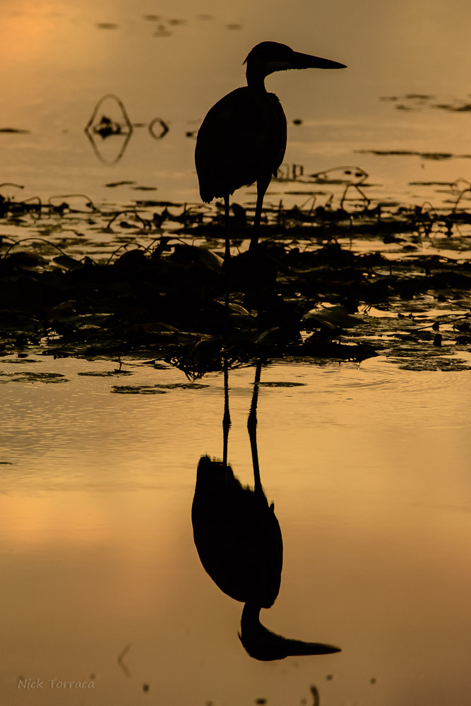 D71_8755.jpg