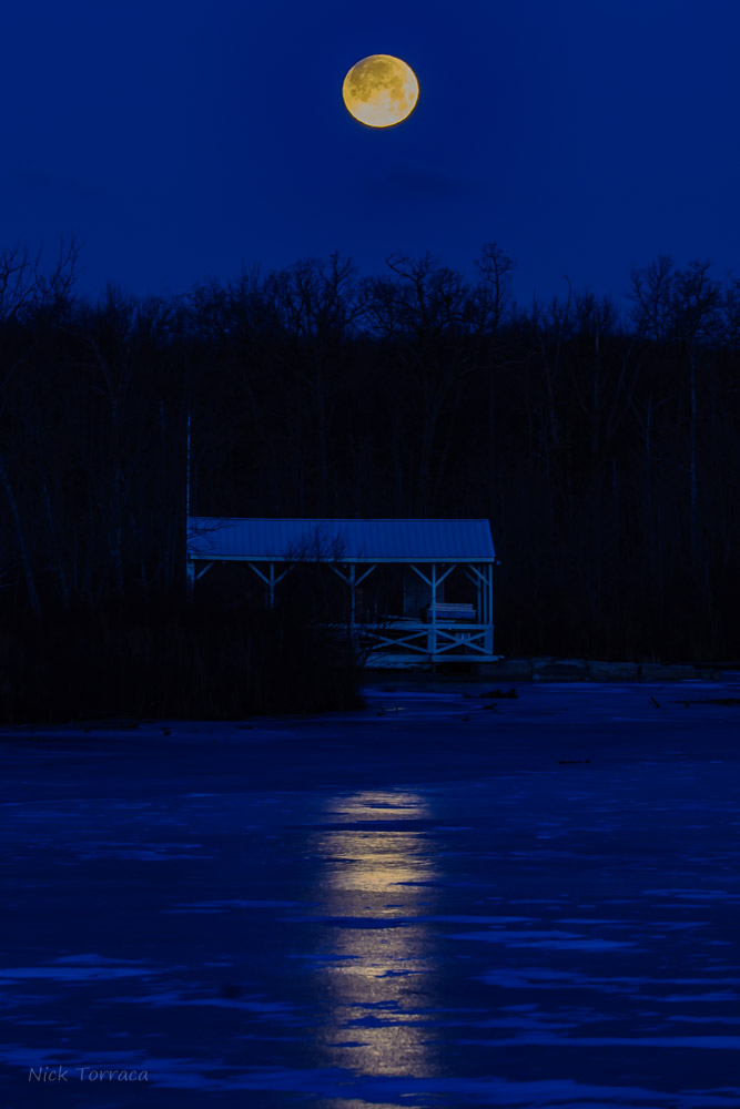 D71_9127.jpg