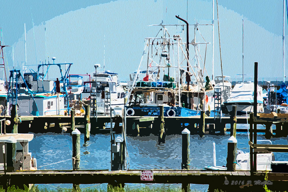 D71_9589-Edit.jpg