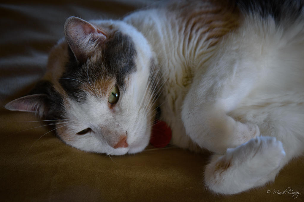 D72_0025.jpg