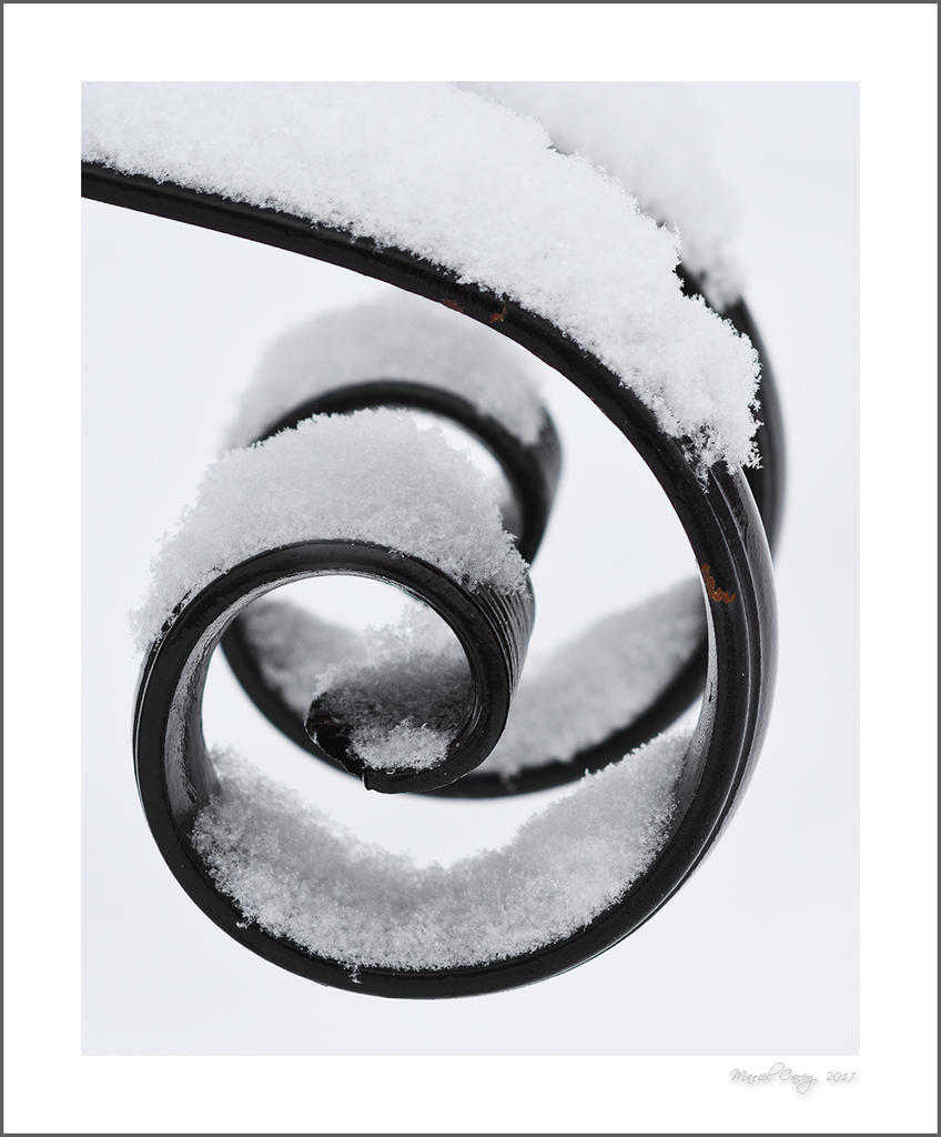 D72_0184.jpg