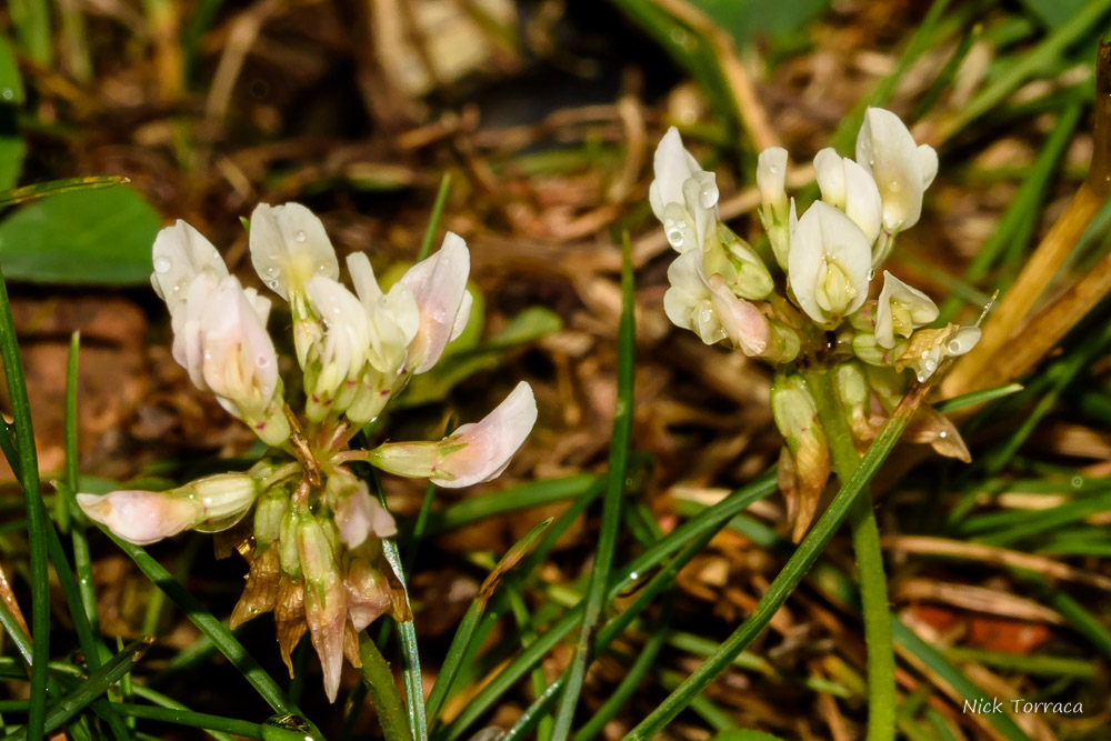 D72_1266-2.jpg