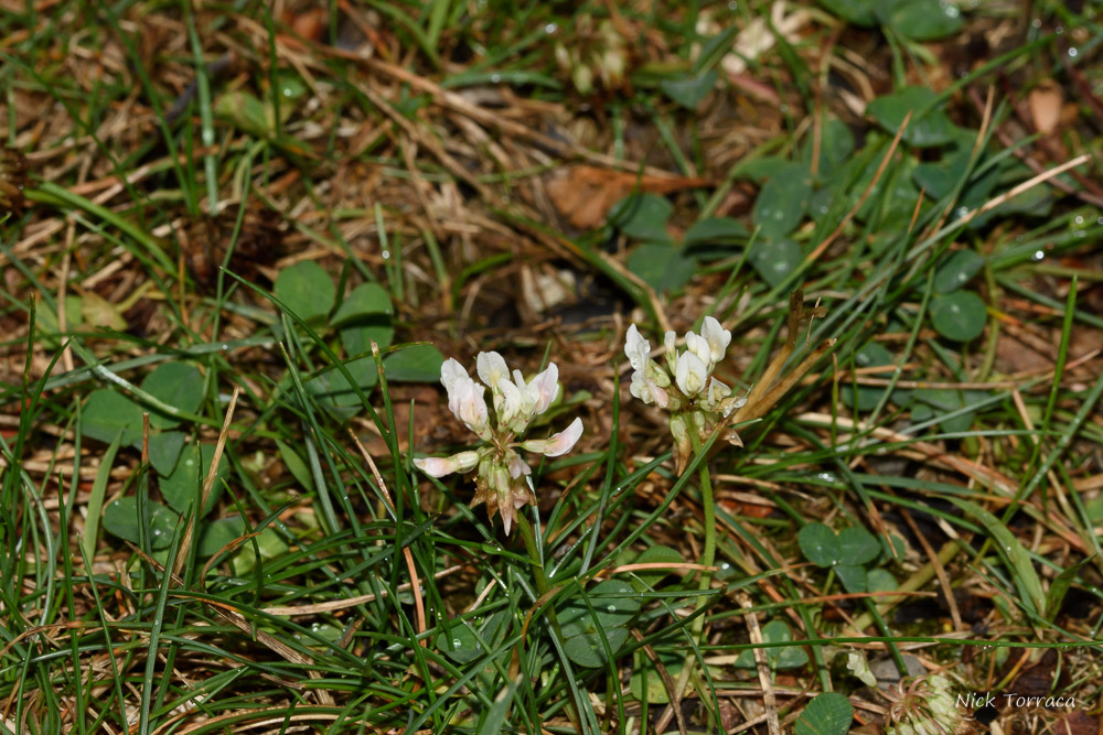 D72_1266.jpg