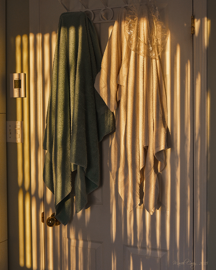 D72_1361dear contrast.jpg