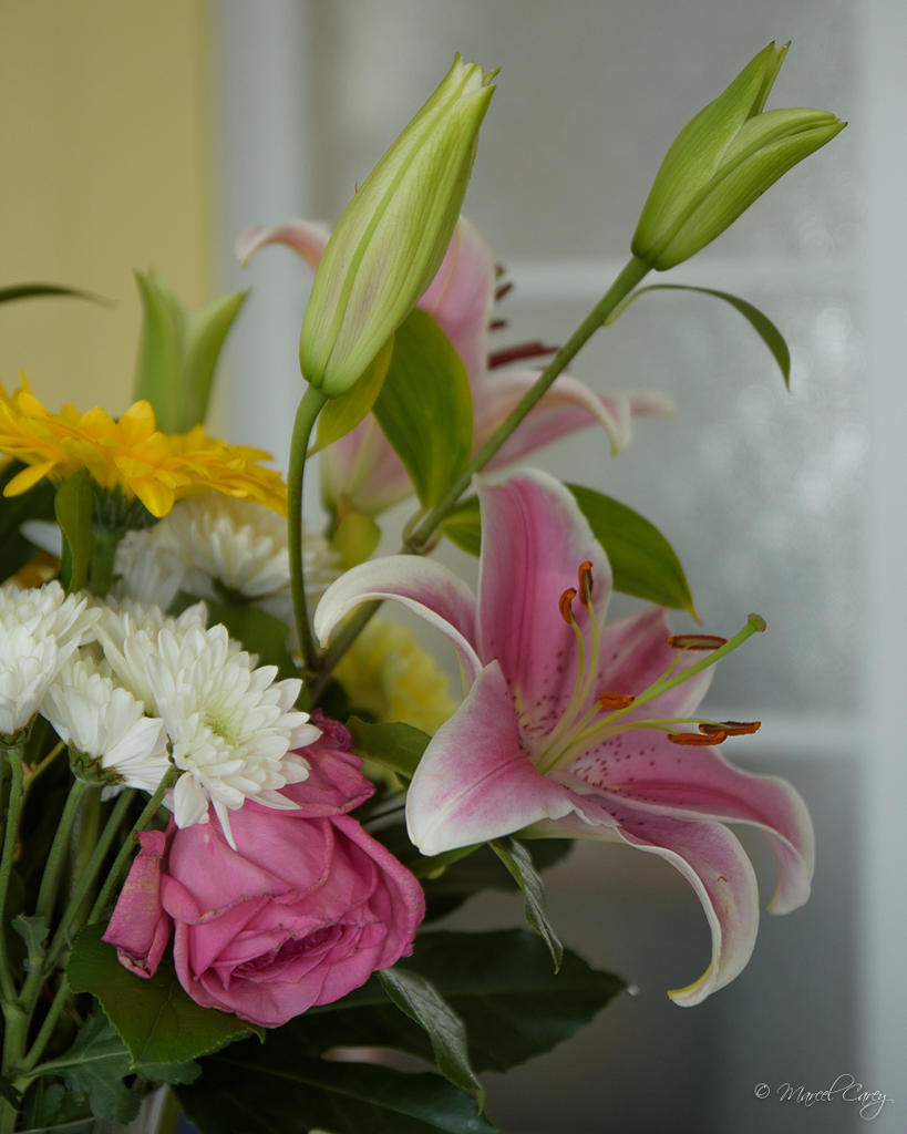 D72_1492.jpg