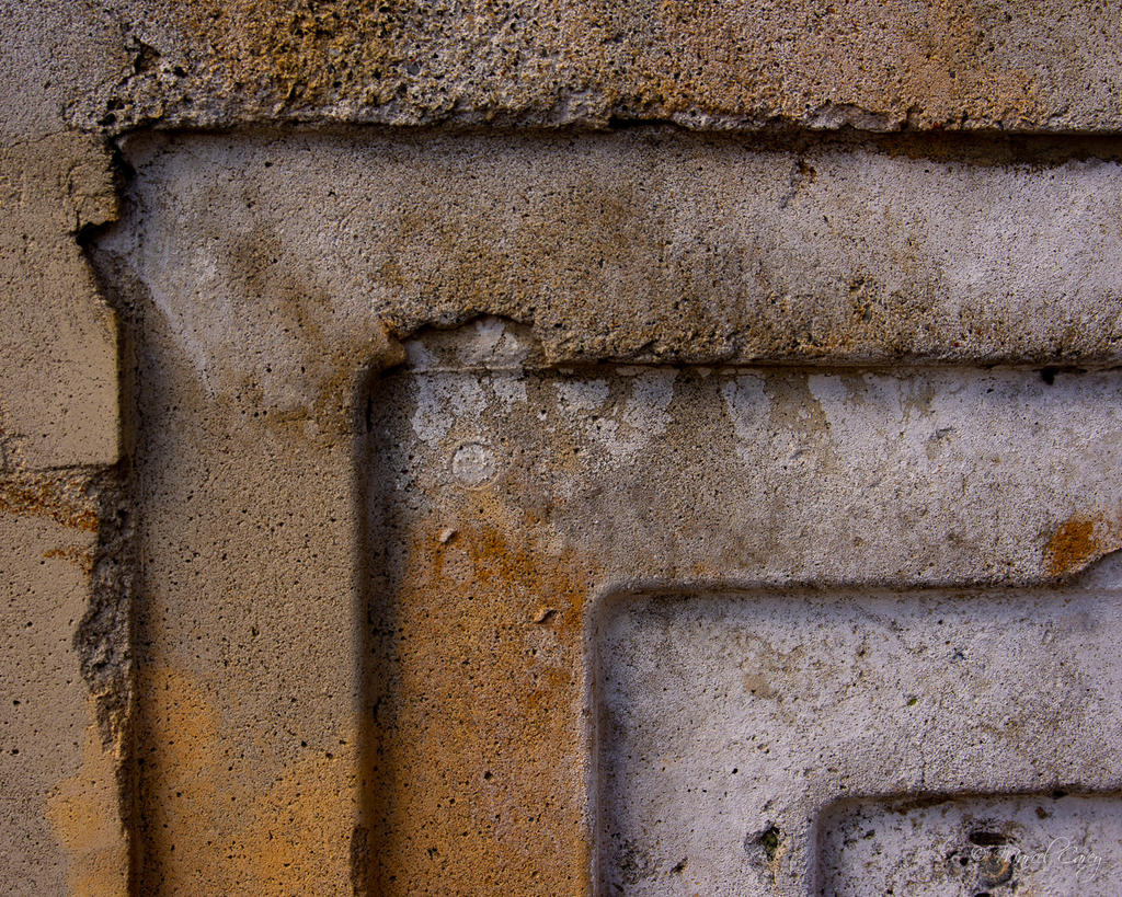 D72_1747.jpg