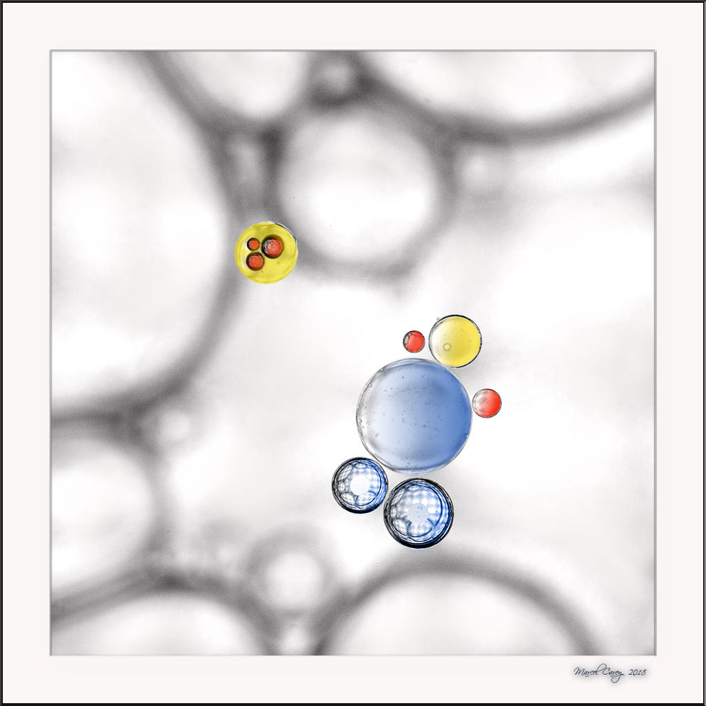 D72_1754-Modifier.jpg