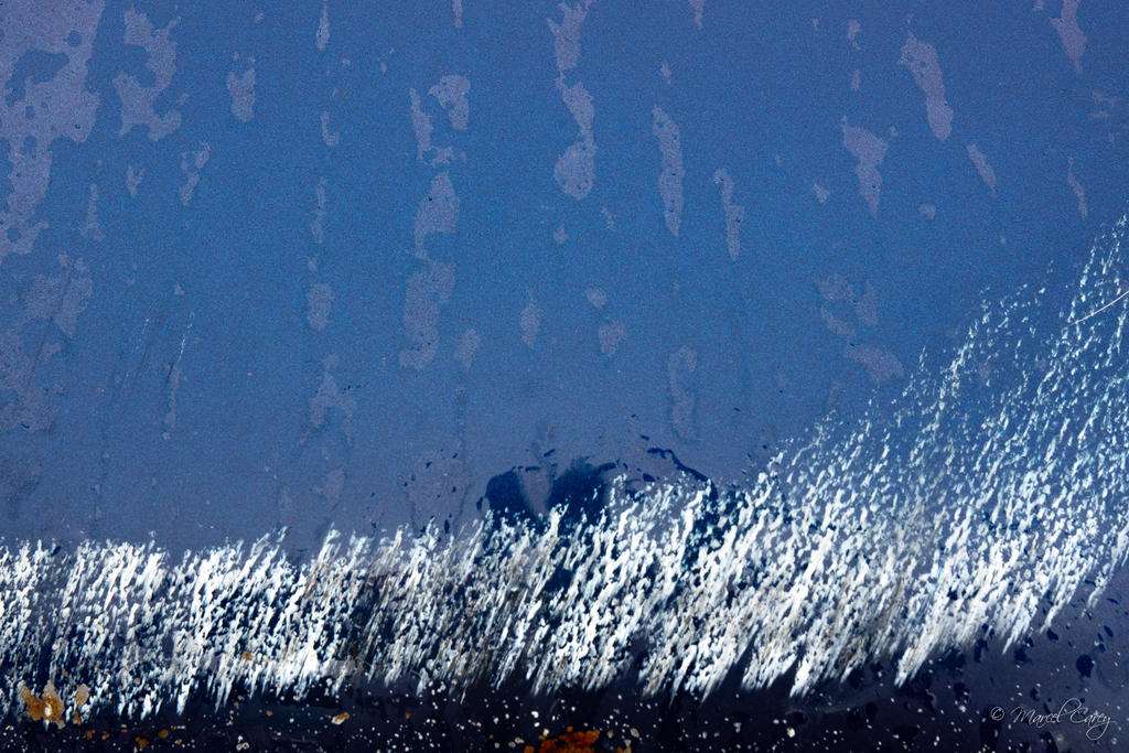 D72_1796.jpg