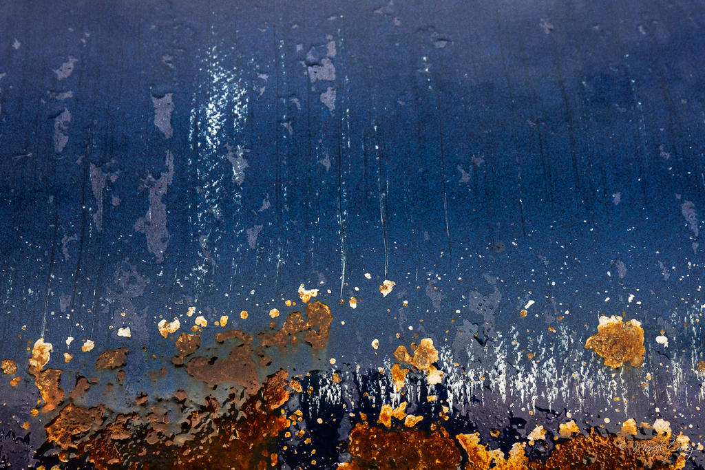 D72_1797.jpg