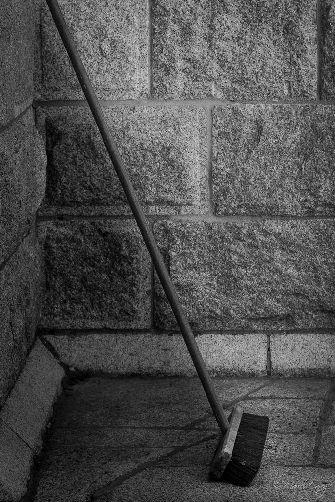 D72_1981.jpg