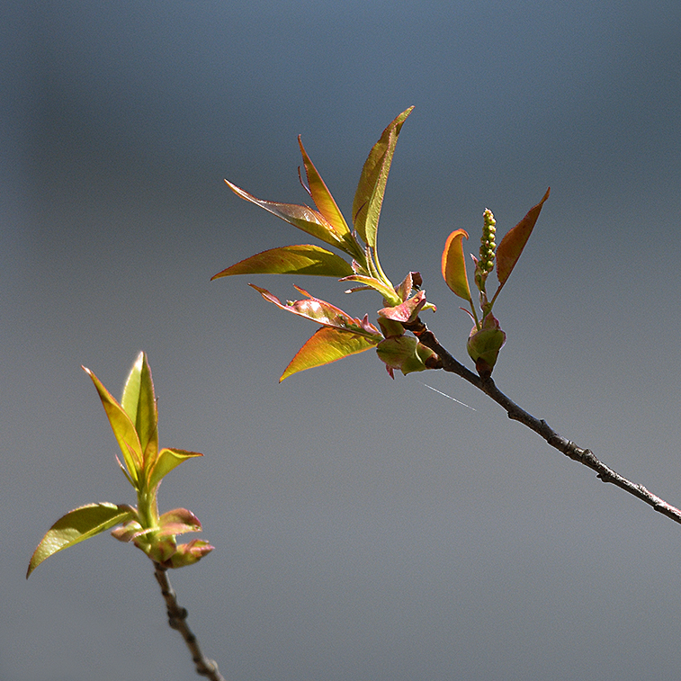 D72_2012.jpg