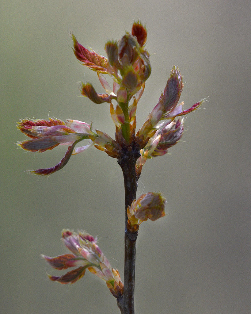 D72_2014.jpg