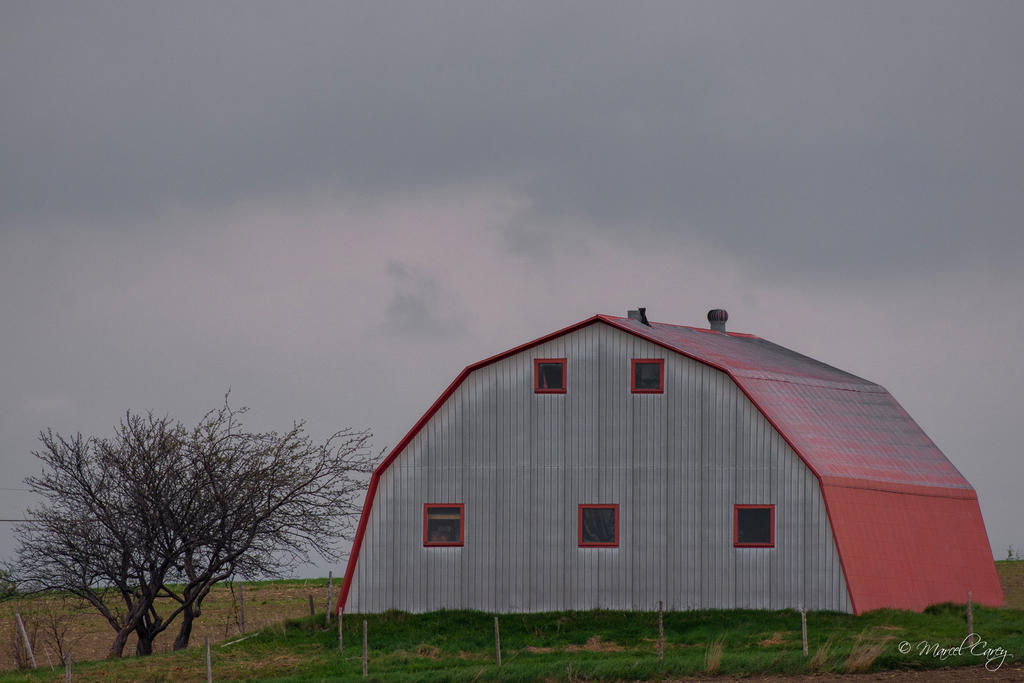 D72_2191-Modifier.jpg