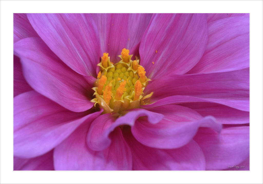 D72_2864 copie.jpg