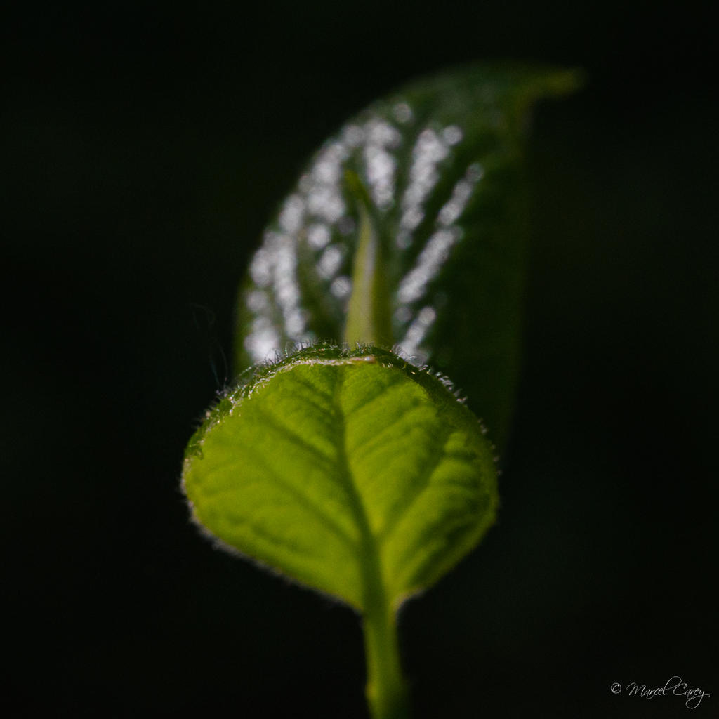 D72_3030.jpg
