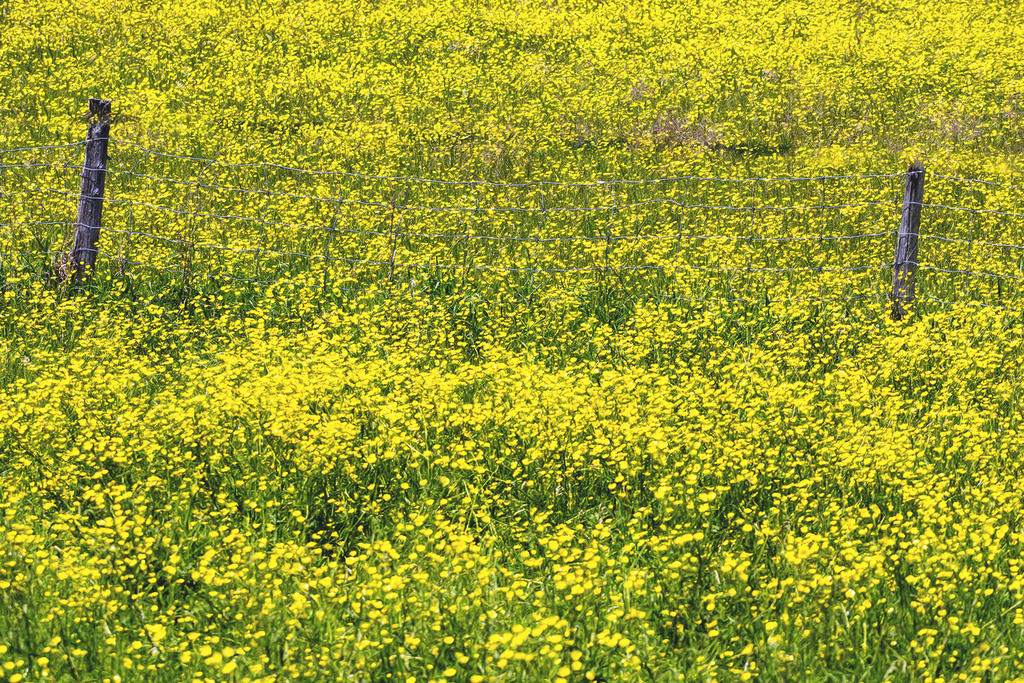 D72_3125.jpg