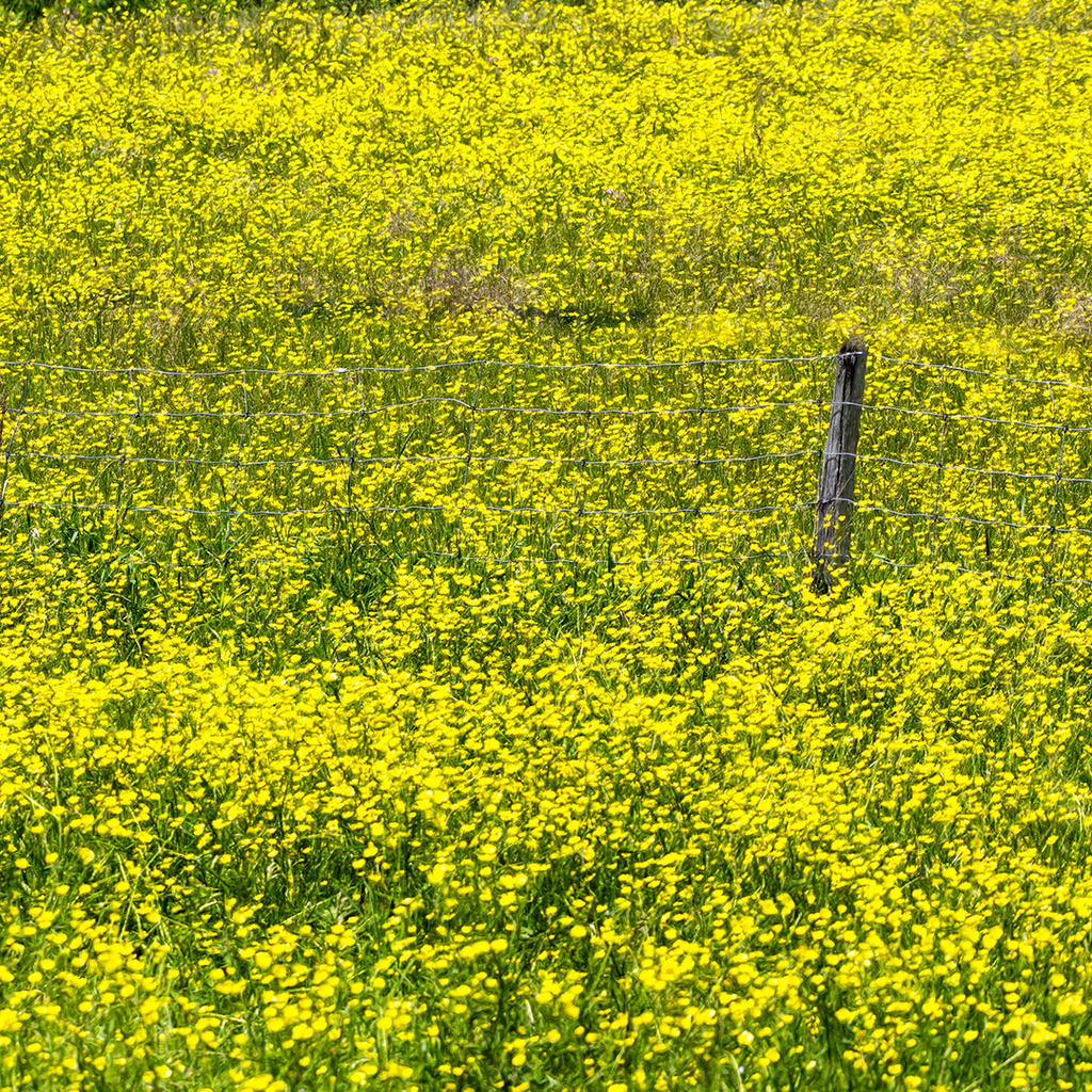 D72_3125-Modifier.jpg