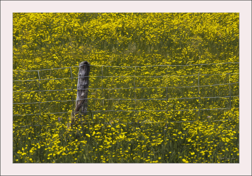 D72_3127-Modifier.jpg