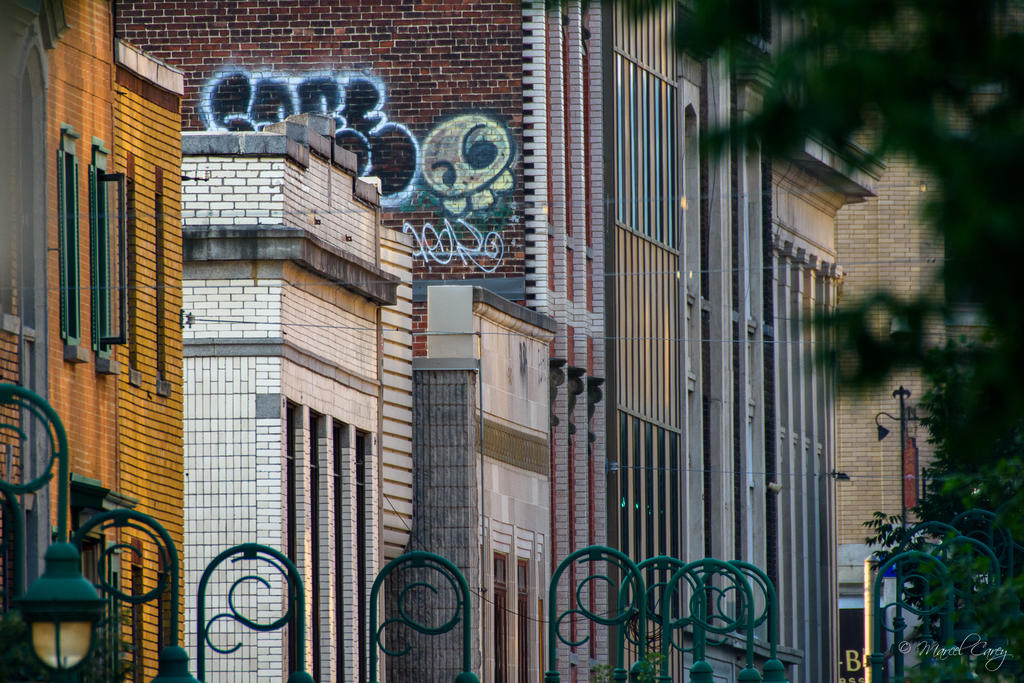 D72_3181.jpg