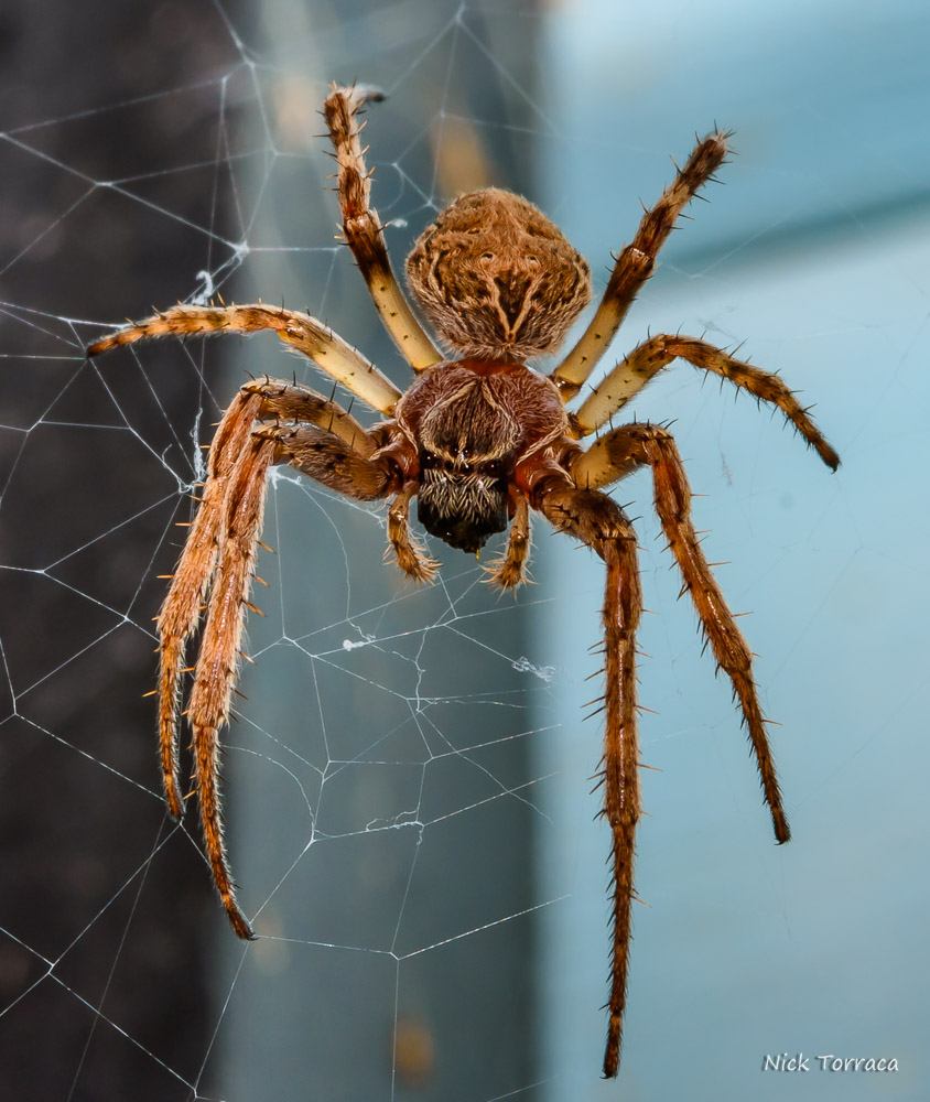 D72_3201-2.jpg