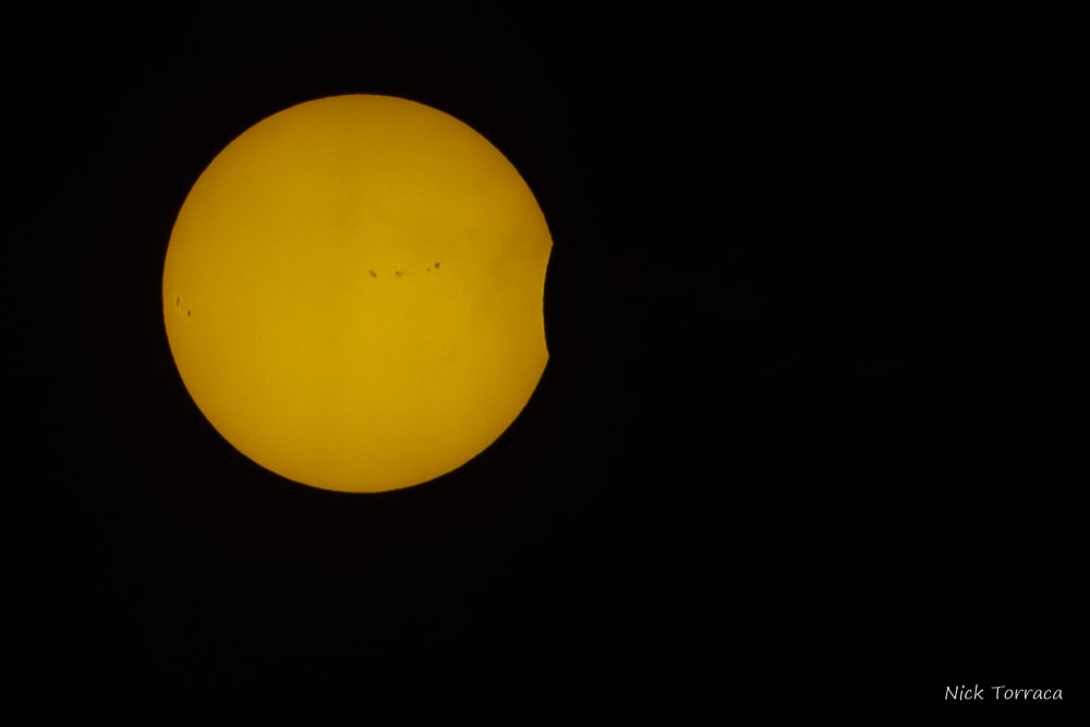 D72_3568.jpg