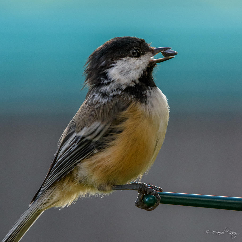 D72_3819.jpg
