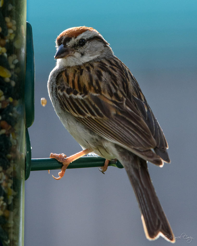 D72_3835.jpg