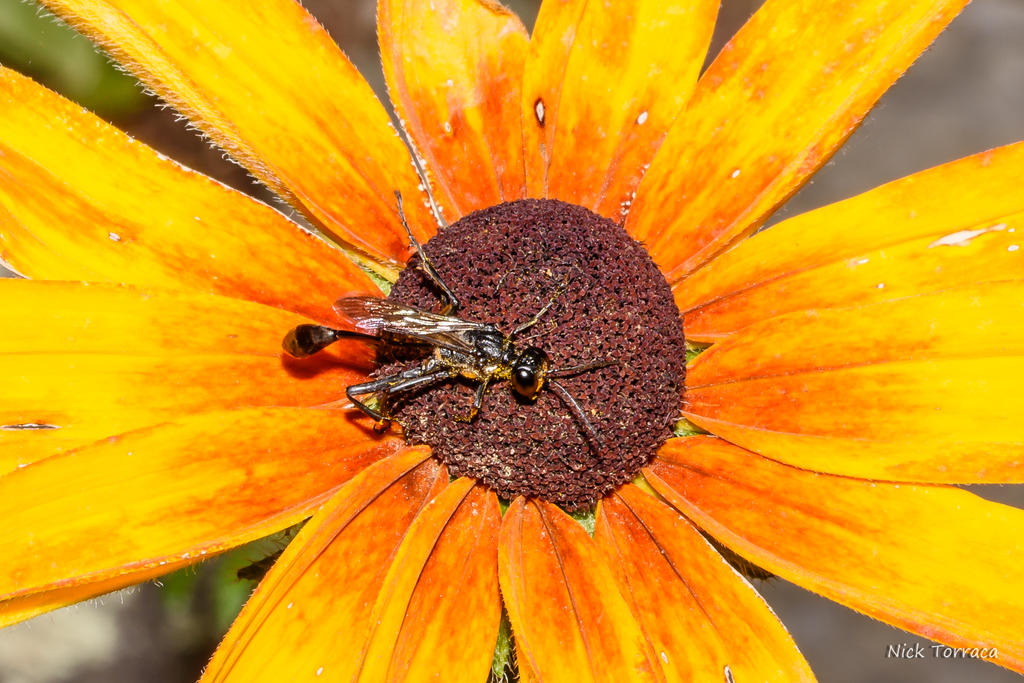D72_3914.jpg