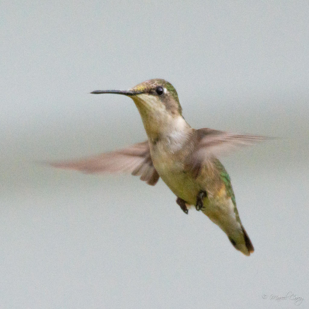 D72_4026.jpg