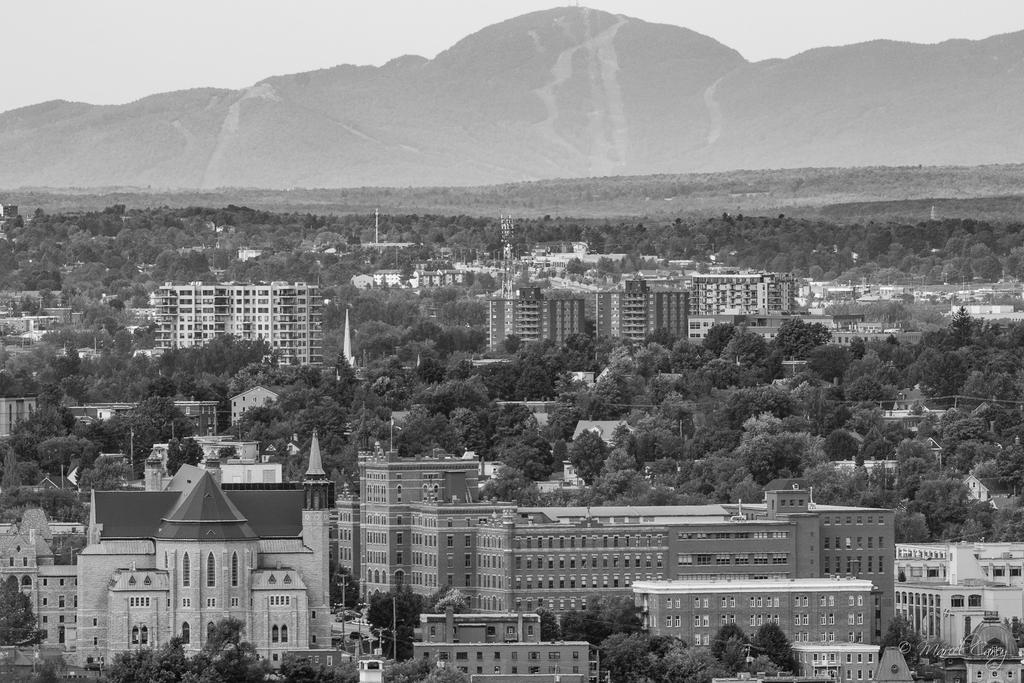 D72_4095.jpg