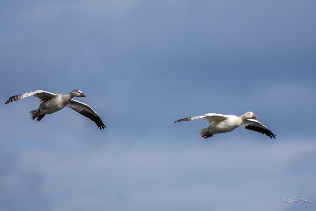 D72_5190.jpg