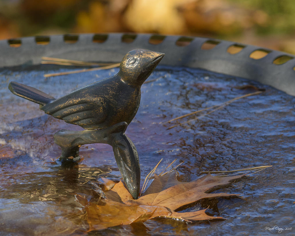 D72_5375.jpg