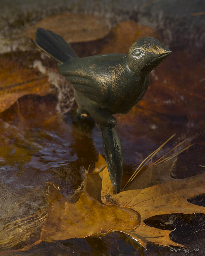 D72_5377.jpg