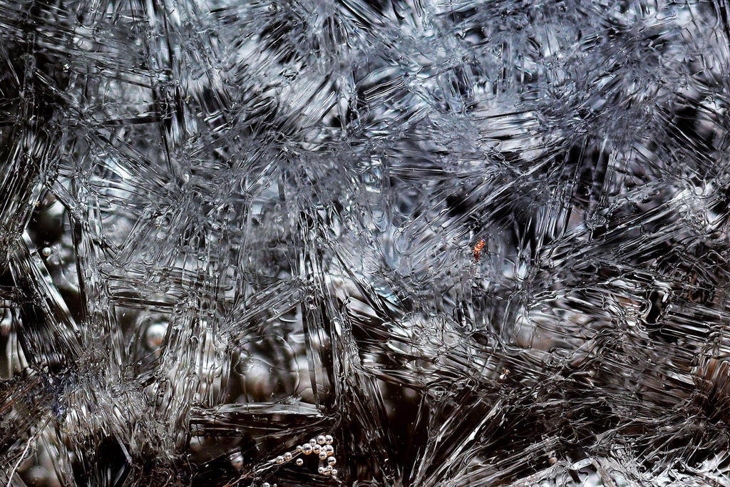 D72_5396 ver II.jpg