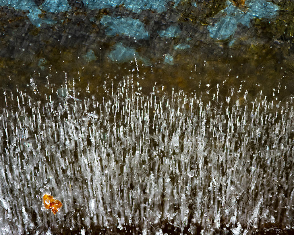 D72_5397.jpg