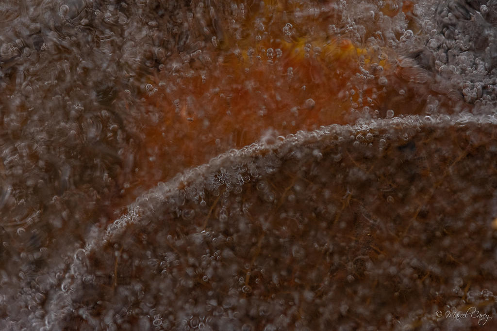 D72_5411.jpg