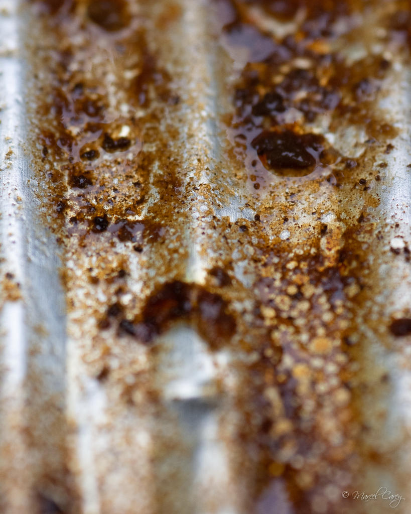 D72_5581.jpg