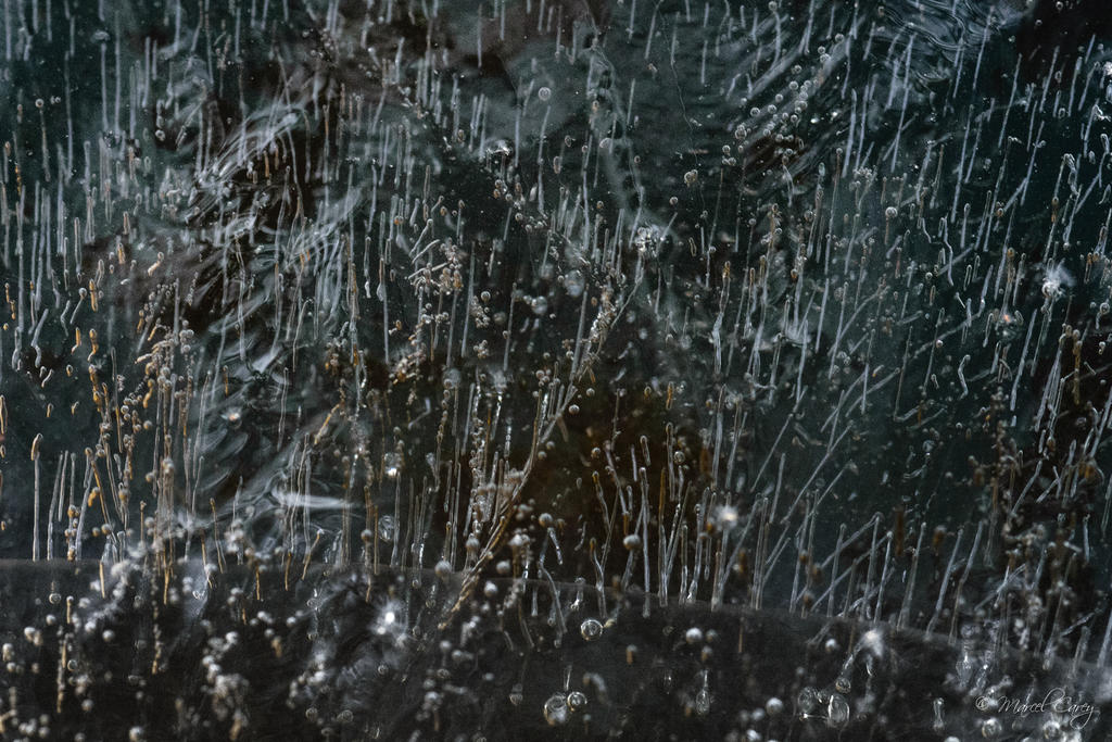 D72_5606.jpg