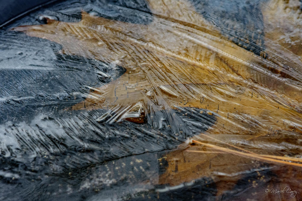 D72_5642.jpg
